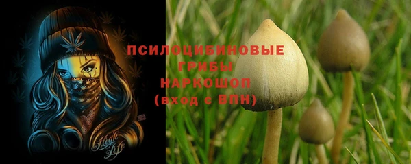 мяу мяу мука Карталы