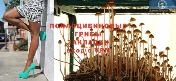 шишки Карпинск